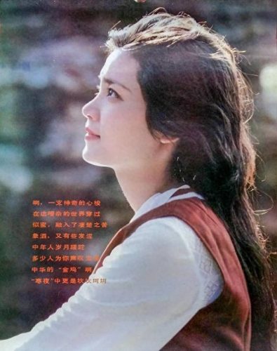 建国十大美女排行榜图册(70后公认十大美女排行)插图10