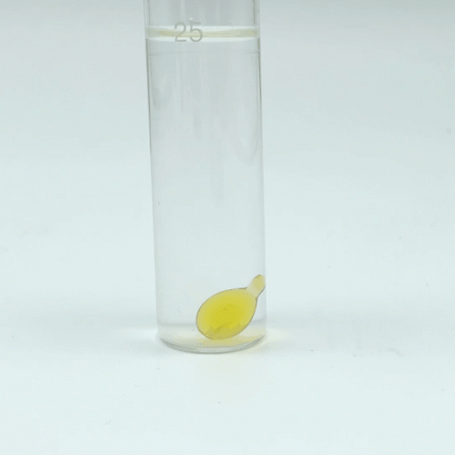十大藻油孕妇dha排行榜最新(孕期补充藻油dha十大排行榜)插图12