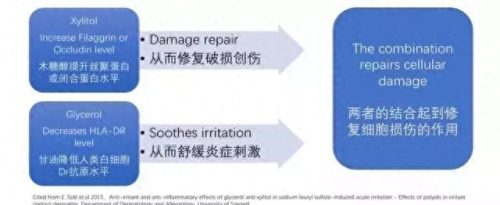 芬兰过敏药膏排名前十(染头过敏抹什么药膏)插图22