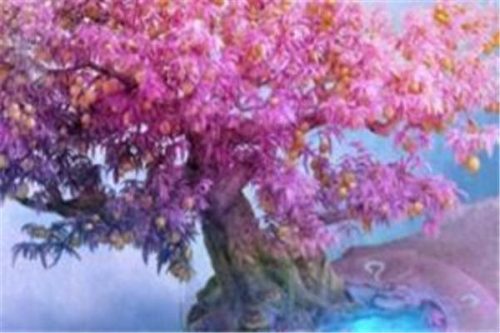 先天灵力排名前十(十大灵力测试排名)插图8