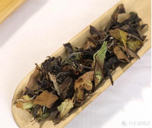 十大福鼎市白茶品牌排行榜(中国十大名茶)插图1