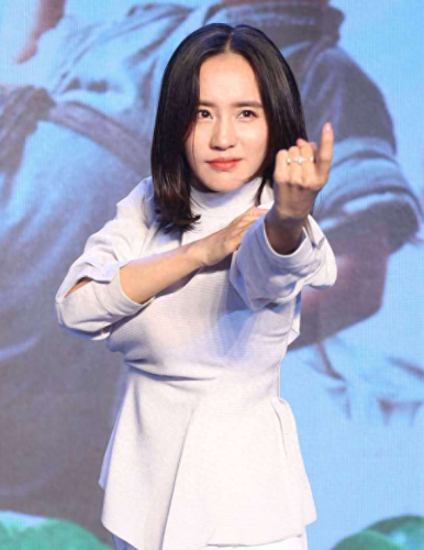 近期武打女星排名前十(港台十大武打女星)插图6