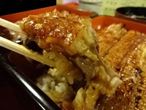 大阪鳗鱼排名前十(大阪鳗鱼店)插图65