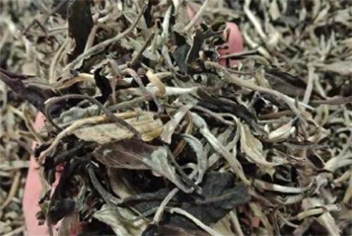 中国十大类名茶排行榜(中国十大名茶官方排名)插图5