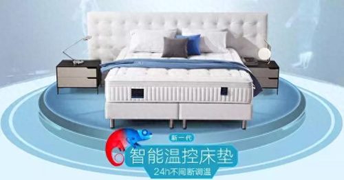 浙江卧室软床排名前十(辉月软床)插图27