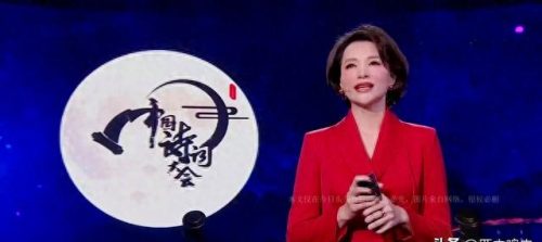 中国十大主持人排行榜20(著名主持人排名榜)插图6