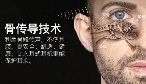 入耳式耳机十大品牌排行榜(进口耳机十大品牌排名)插图