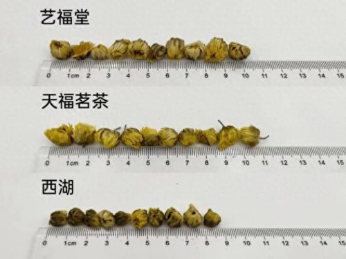胎菊花品牌十大排行榜(胎菊对肝脏的危害)插图10