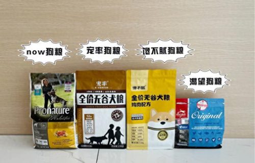 排名前十的狗洗澡(狗活泼排行榜)插图9