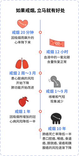 世界十大致癌物排行榜(世界十大致癌物排名)插图6