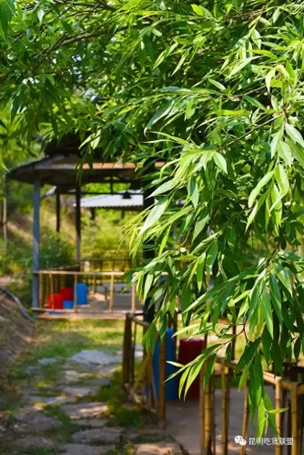 昆明兔肉餐馆排名前十(昆明哪里有兔肉卖)插图39