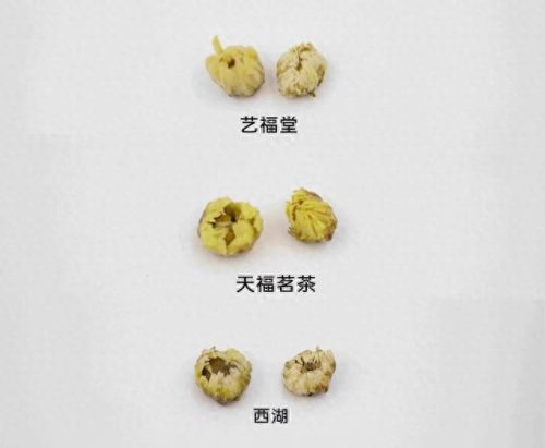 胎菊花品牌十大排行榜(胎菊对肝脏的危害)插图22