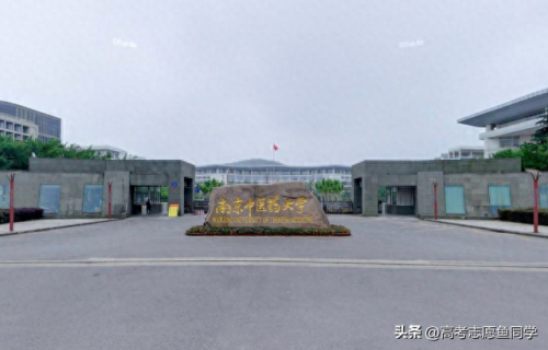 中医重点院校排名前十(上海最好中医医院排名)插图1