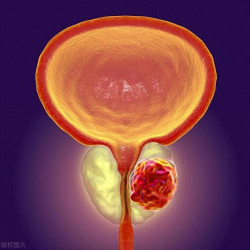 影响中国的十大病毒排行榜(德尔塔病毒中国有吗)插图8