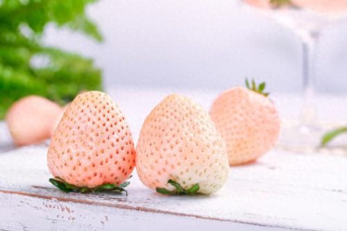 草莓品种排名前十价格(排名第一的草莓品种)插图