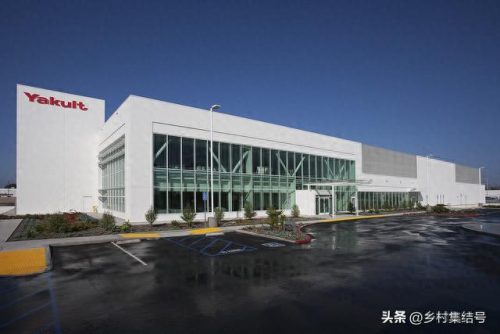 全球益生菌品牌十大排行榜(中国十大品牌益生菌排行榜)插图4