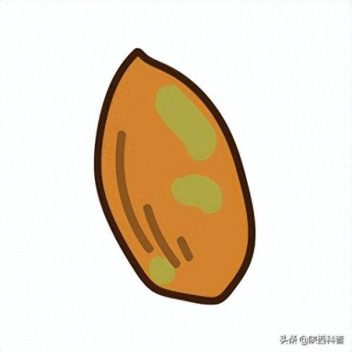 世界十大致癌物排行榜(世界十大致癌物排名)插图18
