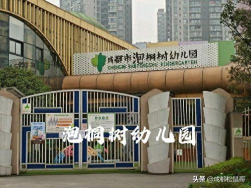 成都公立十大幼儿园排行榜(成都最好的幼儿园排名)插图6