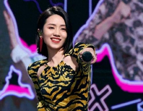 超女十大美女排行榜(中国女神排行榜)插图8
