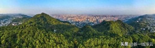 城市别墅售价排名前十(城市山谷别墅法拍房)插图13