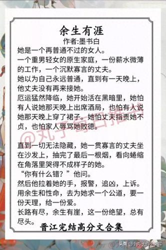 晋江十大高质量小说排行榜(晋江文学网评分高的小说)插图7