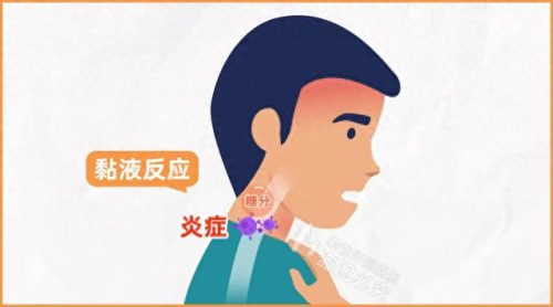 十大好吃的瓜子品牌排行榜(什么牌子瓜子好吃)插图15