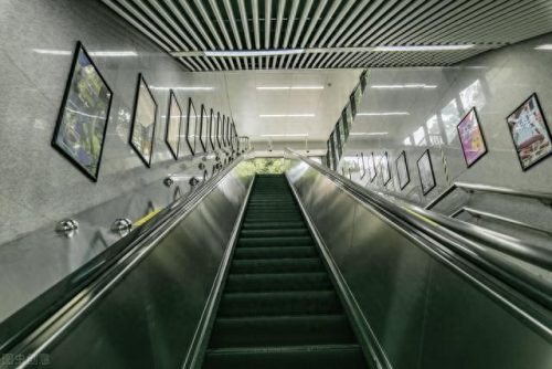 电梯全球产量排名前十(全球电梯市场规模排行)插图6