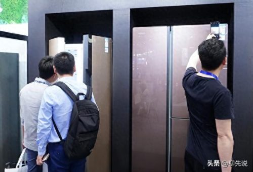 国产无霜冰箱十大排行榜(容声双门无霜冰箱价格)插图2
