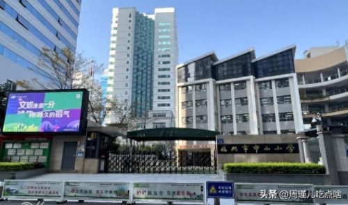 福建小学面积排名前十(福建私立小学十大排名)插图43