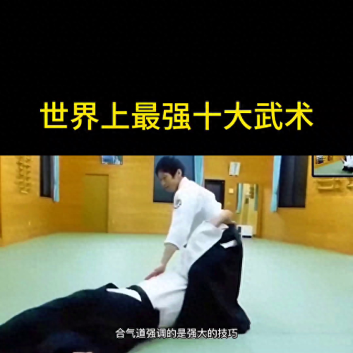 巴西武术功夫排名前十(巴西武术教练夏维尔)插图2