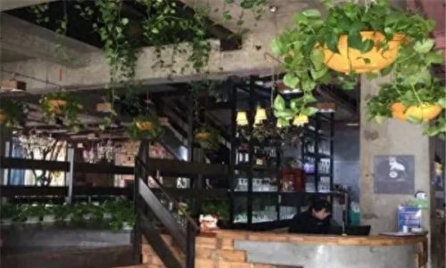 全国排名前十的餐饮(2023最火的加盟店)插图