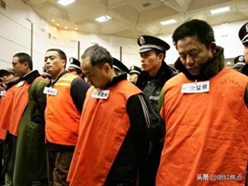 河南黑社会十大排行榜(河南黑帮案件)插图4
