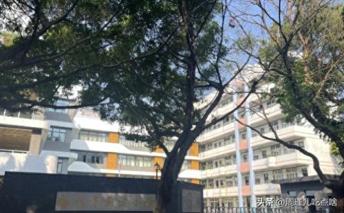 福建小学面积排名前十(福建私立小学十大排名)插图38