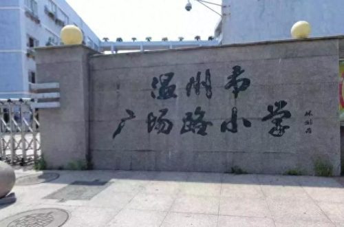 温州小学教育排名前十(温州好的小学排名一览表)插图8