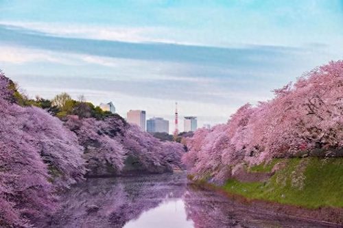 日本大阪小区排名前十(崇贤最好的小区排名)插图2