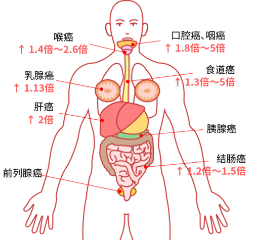世界十大致癌物排行榜(世界十大致癌物排名)插图10