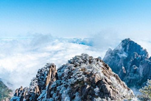 十大风光景区排行榜图片(阜宁县十里风光带景区)插图8