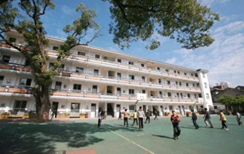 温州小学教育排名前十(温州好的小学排名一览表)插图24