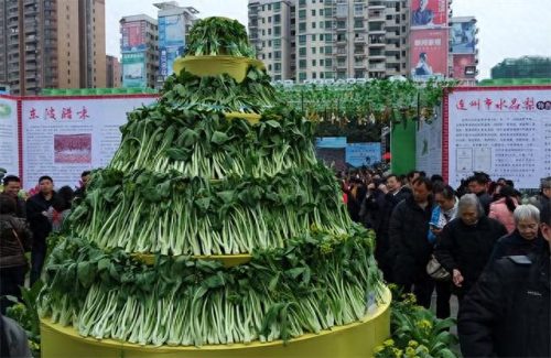 十大最贵的农产品排行榜(最值钱的农产品排行榜)插图1