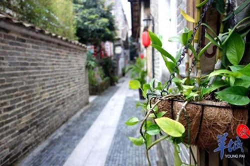 花都餐厅平价排名前十(花都平价民宿推荐)插图10