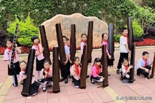 福建小学面积排名前十(福建私立小学十大排名)插图9