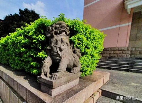 武鸣武术高手排名前十(广西武鸣如意堂梁海)插图2