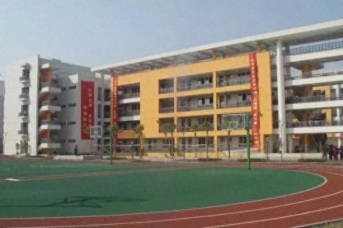 温州小学教育排名前十(温州好的小学排名一览表)插图22