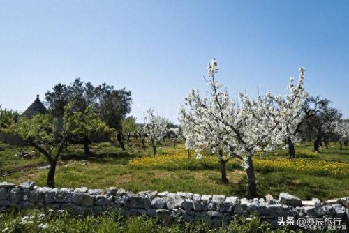 滨州休闲景点排名前十(滨州十大网红景点)插图18