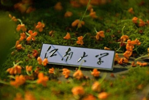 当今设计公司排名前十(山西太原视觉设计公司)插图3