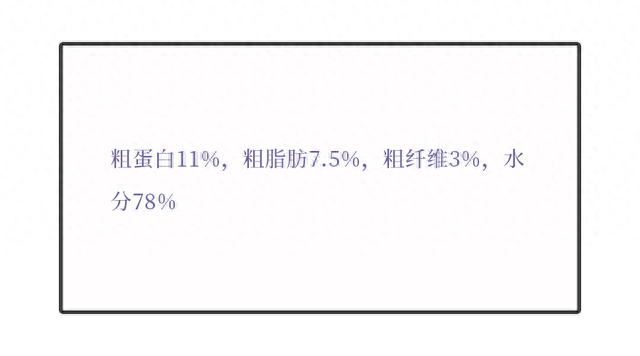 猫咪罐头排名前十(猫咪罐头排行榜)插图14