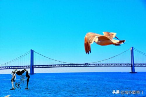 沙滩泳池厂家排名前十(成品泳池品牌排行榜)插图75