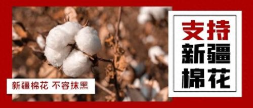 全球十大棉花供应商排行榜(全球最大的棉花厂)插图