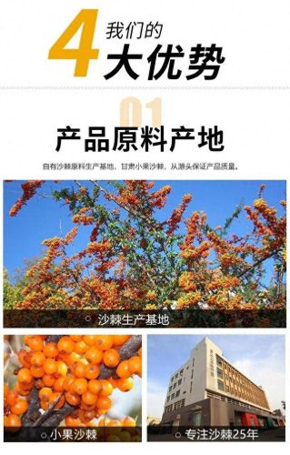 沙棘原浆厂商排名前十(内蒙古沙棘原浆第一品牌)插图1