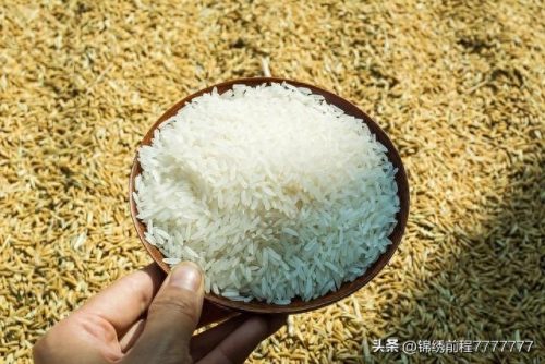 中国十大优质大米排行榜第一(国内最好的大米排行)插图3